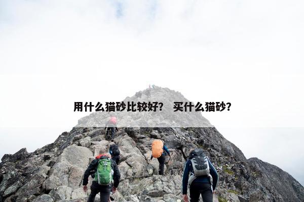 用什么猫砂比较好？ 买什么猫砂？