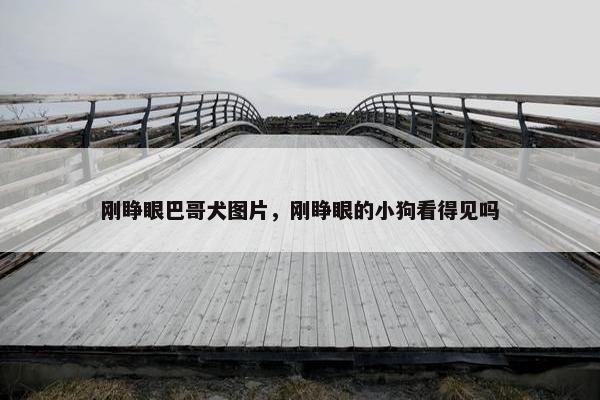 刚睁眼巴哥犬图片，刚睁眼的小狗看得见吗
