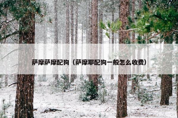 萨摩萨摩配狗（萨摩耶配狗一般怎么收费）