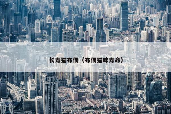 长寿猫布偶（布偶猫咪寿命）