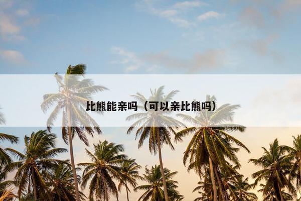 比熊能亲吗（可以亲比熊吗）