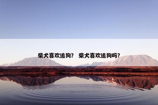 柴犬喜欢追狗？ 柴犬喜欢追狗吗？