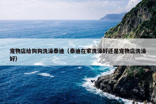 宠物店给狗狗洗澡泰迪（泰迪在家洗澡好还是宠物店洗澡好）
