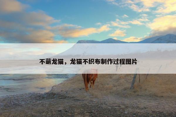 不萌龙猫，龙猫不织布制作过程图片