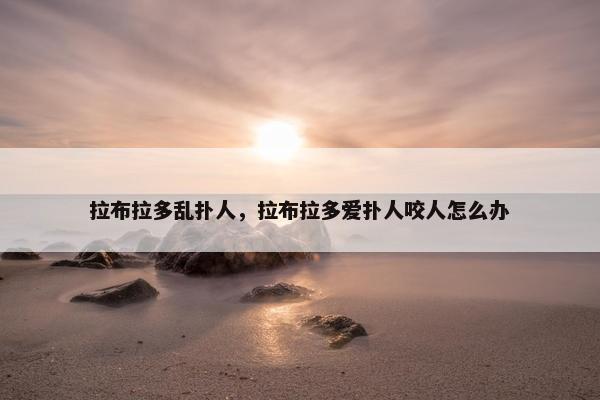 拉布拉多乱扑人，拉布拉多爱扑人咬人怎么办