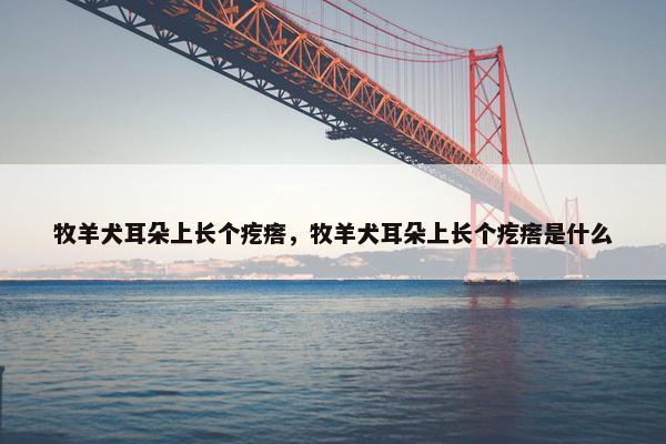 牧羊犬耳朵上长个疙瘩，牧羊犬耳朵上长个疙瘩是什么