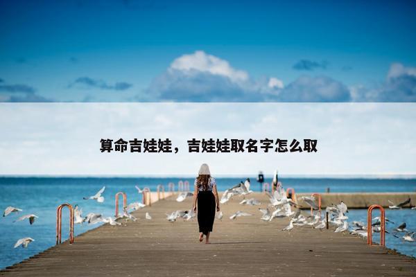 算命吉娃娃，吉娃娃取名字怎么取