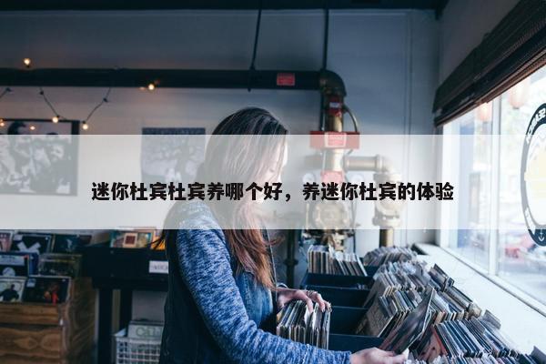 迷你杜宾杜宾养哪个好，养迷你杜宾的体验