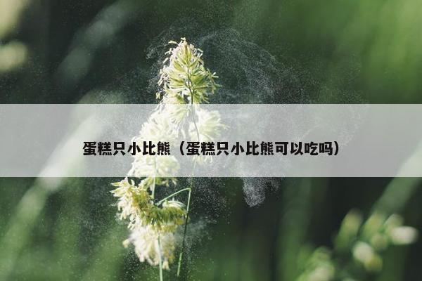 蛋糕只小比熊（蛋糕只小比熊可以吃吗）