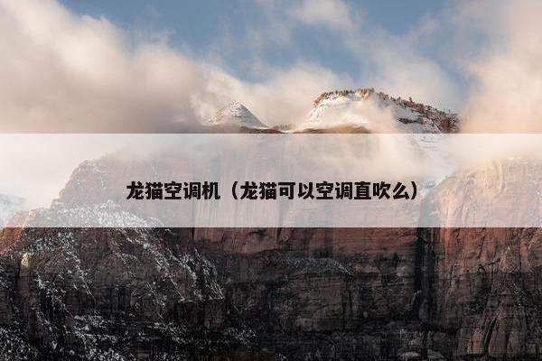 龙猫空调机（龙猫可以空调直吹么）