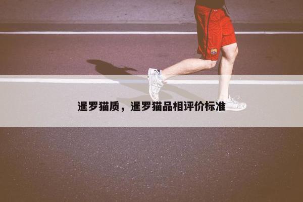 暹罗猫质，暹罗猫品相评价标准