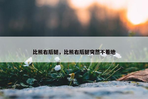 比熊右后腿，比熊右后腿突然不着地