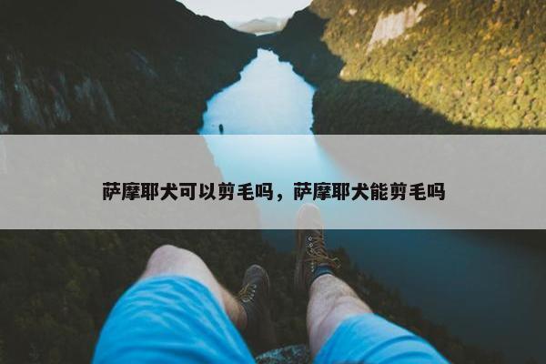 萨摩耶犬可以剪毛吗，萨摩耶犬能剪毛吗