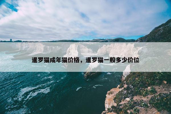 暹罗猫成年猫价格，暹罗猫一般多少价位