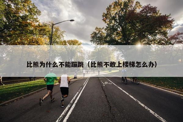 比熊为什么不能蹦跳（比熊不敢上楼梯怎么办）