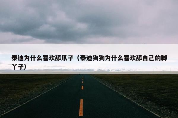 泰迪为什么喜欢舔爪子（泰迪狗狗为什么喜欢舔自己的脚丫子）