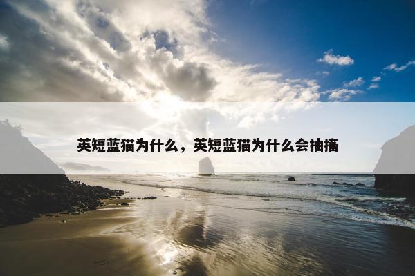英短蓝猫为什么，英短蓝猫为什么会抽搐