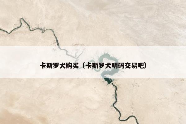 卡斯罗犬购买（卡斯罗犬明码交易吧）