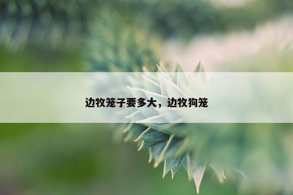 边牧笼子要多大，边牧狗笼