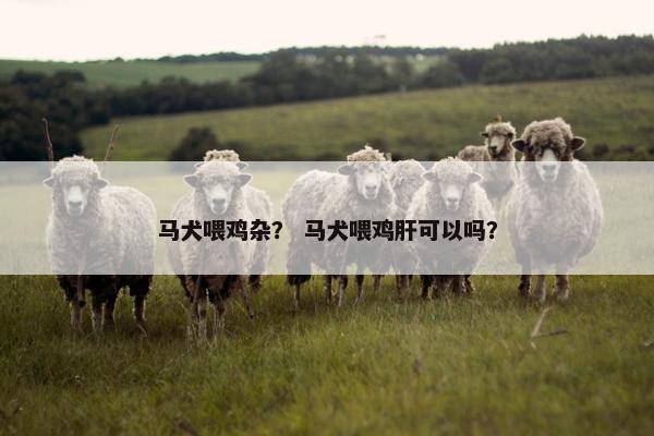 马犬喂鸡杂？ 马犬喂鸡肝可以吗？