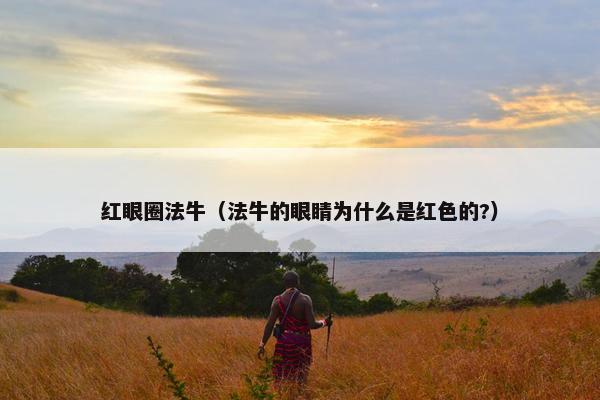 红眼圈法牛（法牛的眼睛为什么是红色的?）