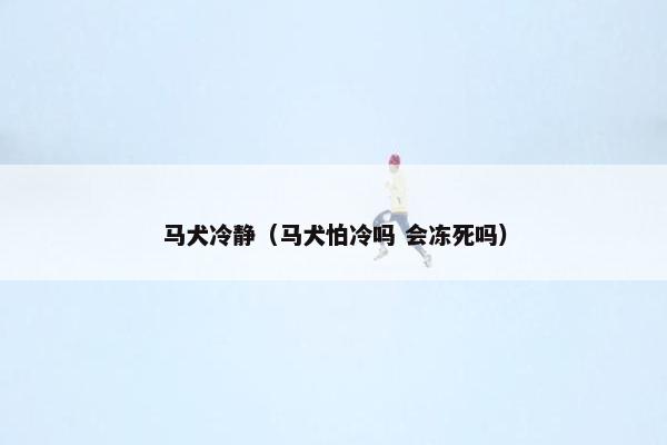 马犬冷静（马犬怕冷吗 会冻死吗）