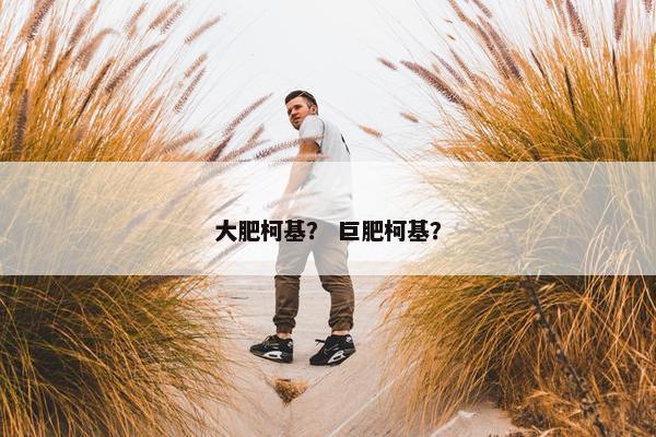 大肥柯基？ 巨肥柯基？