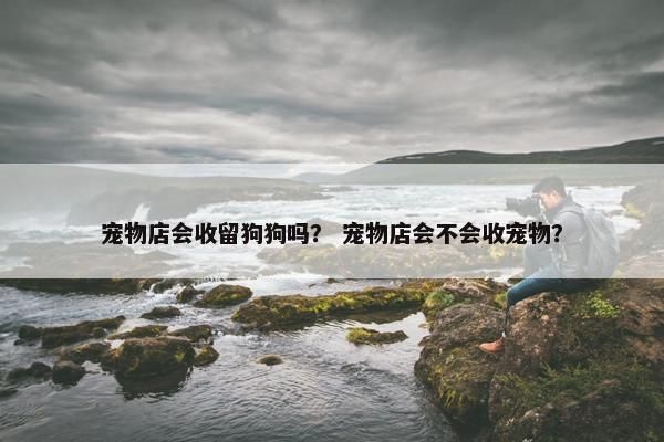 宠物店会收留狗狗吗？ 宠物店会不会收宠物？