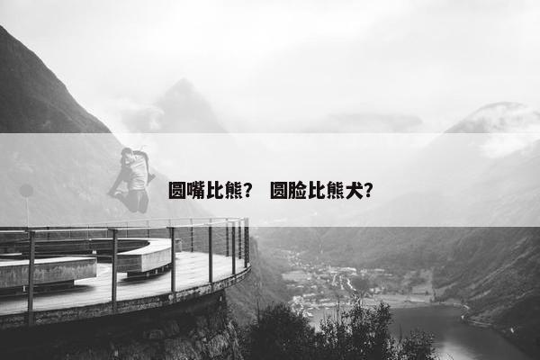 圆嘴比熊？ 圆脸比熊犬？