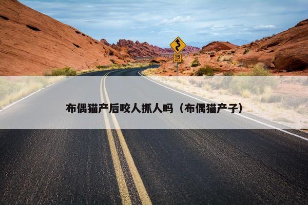 布偶猫产后咬人抓人吗（布偶猫产子）
