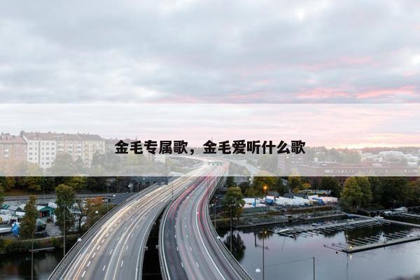金毛专属歌，金毛爱听什么歌
