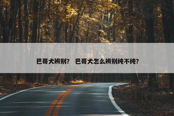 巴哥犬辨别？ 巴哥犬怎么辨别纯不纯？