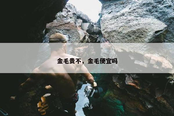 金毛贵不，金毛便宜吗