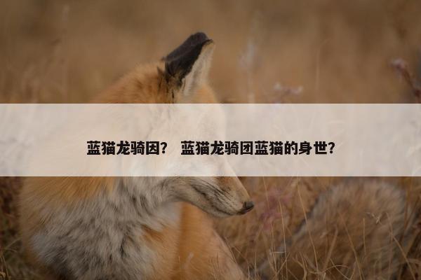 蓝猫龙骑因？ 蓝猫龙骑团蓝猫的身世？
