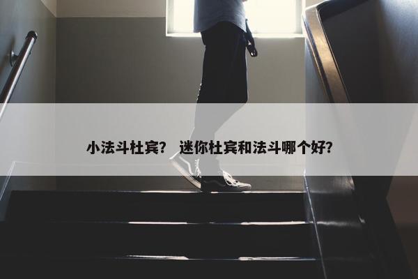 小法斗杜宾？ 迷你杜宾和法斗哪个好？