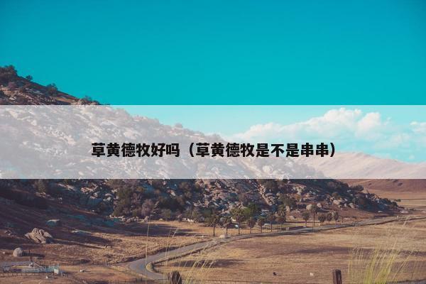 草黄德牧好吗（草黄德牧是不是串串）