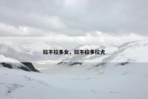 拉不拉多女，拉不拉多拉犬