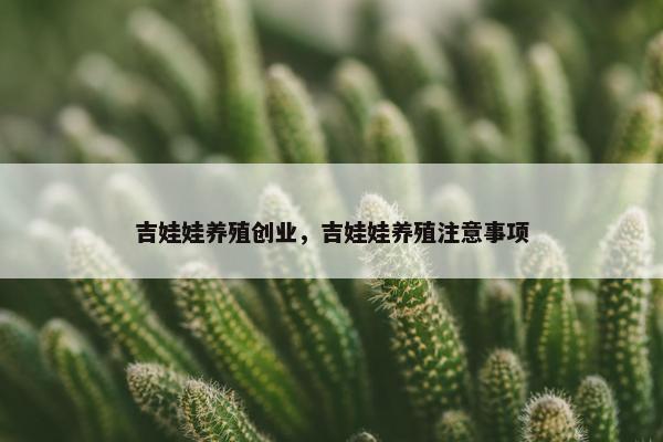 吉娃娃养殖创业，吉娃娃养殖注意事项