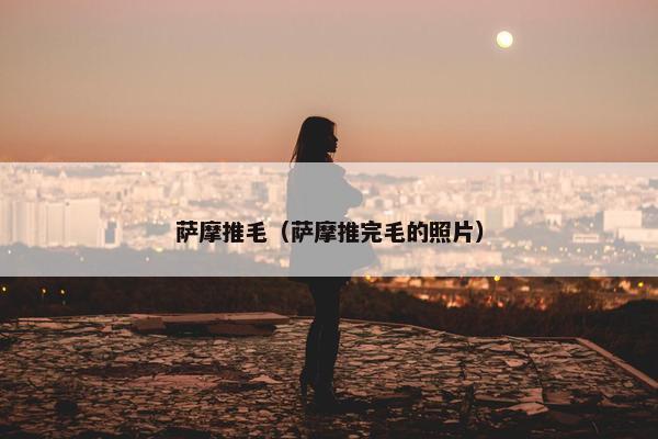 萨摩推毛（萨摩推完毛的照片）
