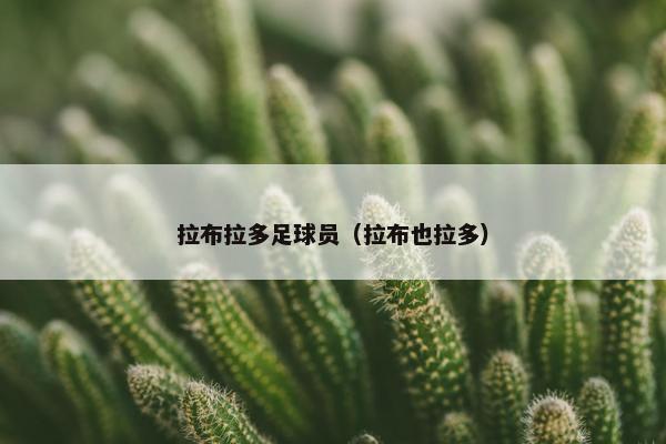 拉布拉多足球员（拉布也拉多）