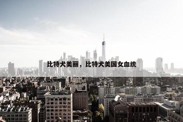 比特犬美丽，比特犬美国女血统