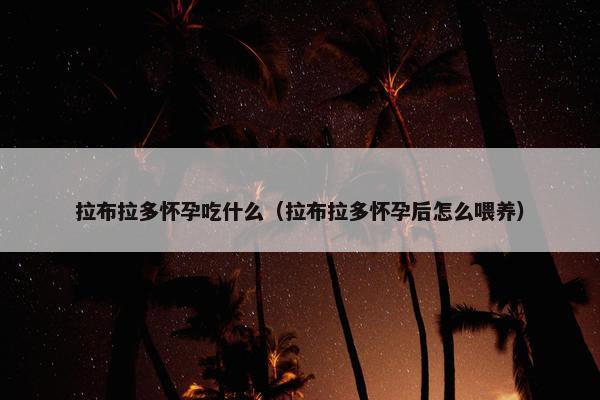 拉布拉多怀孕吃什么（拉布拉多怀孕后怎么喂养）