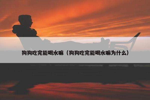 狗狗吃完能喝水嘛（狗狗吃完能喝水嘛为什么）