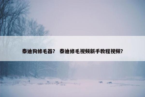 泰迪狗修毛器？ 泰迪修毛视频新手教程视频？