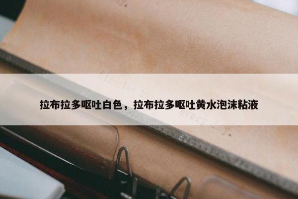 拉布拉多呕吐白色，拉布拉多呕吐黄水泡沫粘液