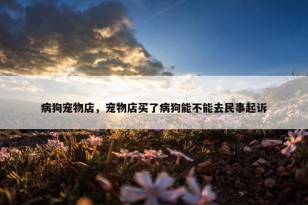 病狗宠物店，宠物店买了病狗能不能去民事起诉