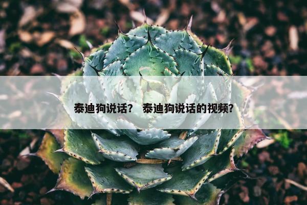 泰迪狗说话？ 泰迪狗说话的视频？