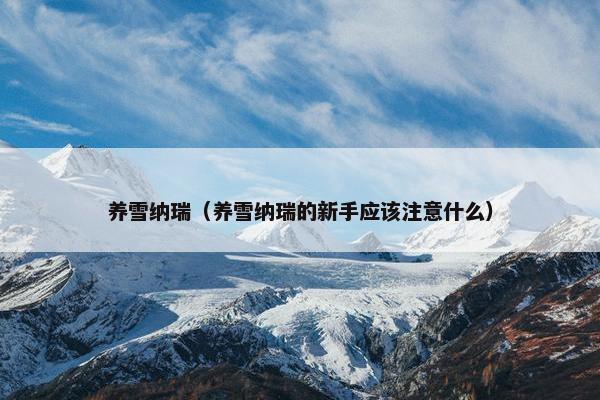 养雪纳瑞（养雪纳瑞的新手应该注意什么）