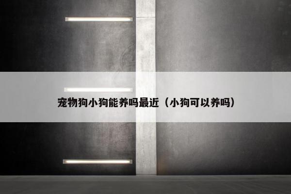 宠物狗小狗能养吗最近（小狗可以养吗）