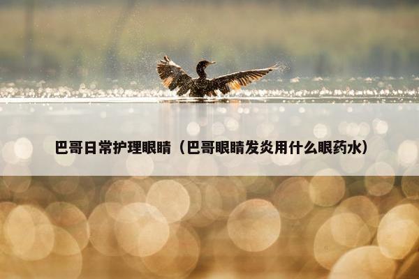 巴哥日常护理眼睛（巴哥眼睛发炎用什么眼药水）